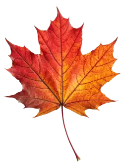 Imagen PNG para descargar